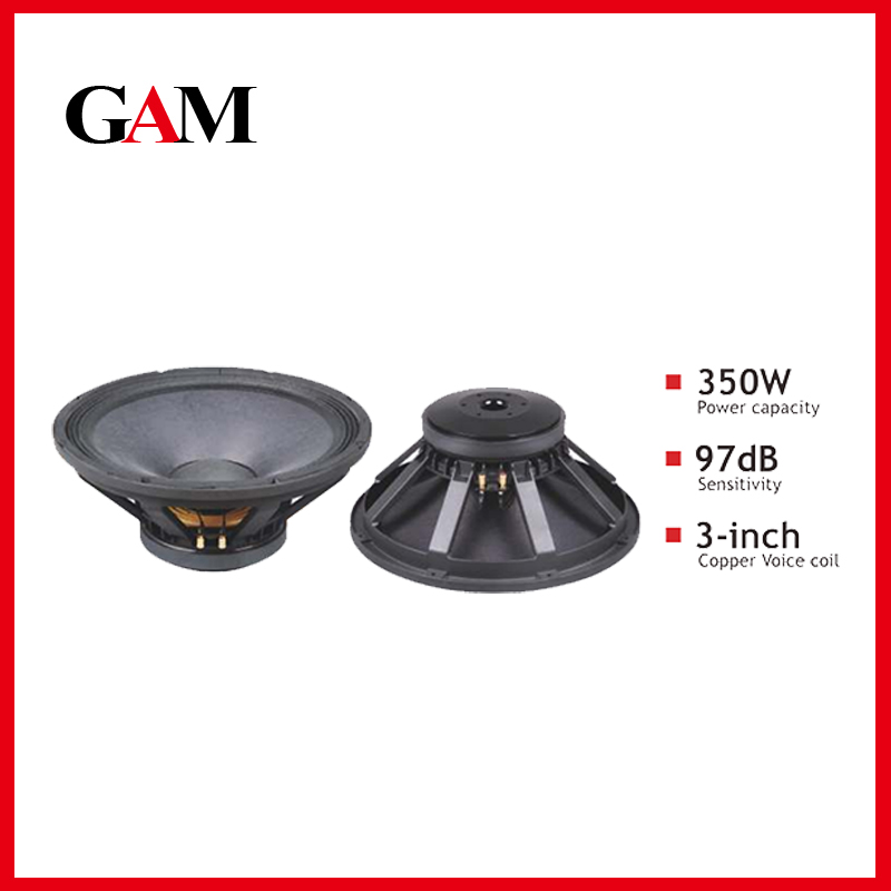 Speaker Driver