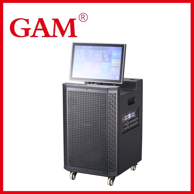 2025 New Adult Karaoke Machine -With Lyrics Display, wifi , 2GB RAM + 8GB Memory + 500GB Hard Drive2 Wireless Microphones,